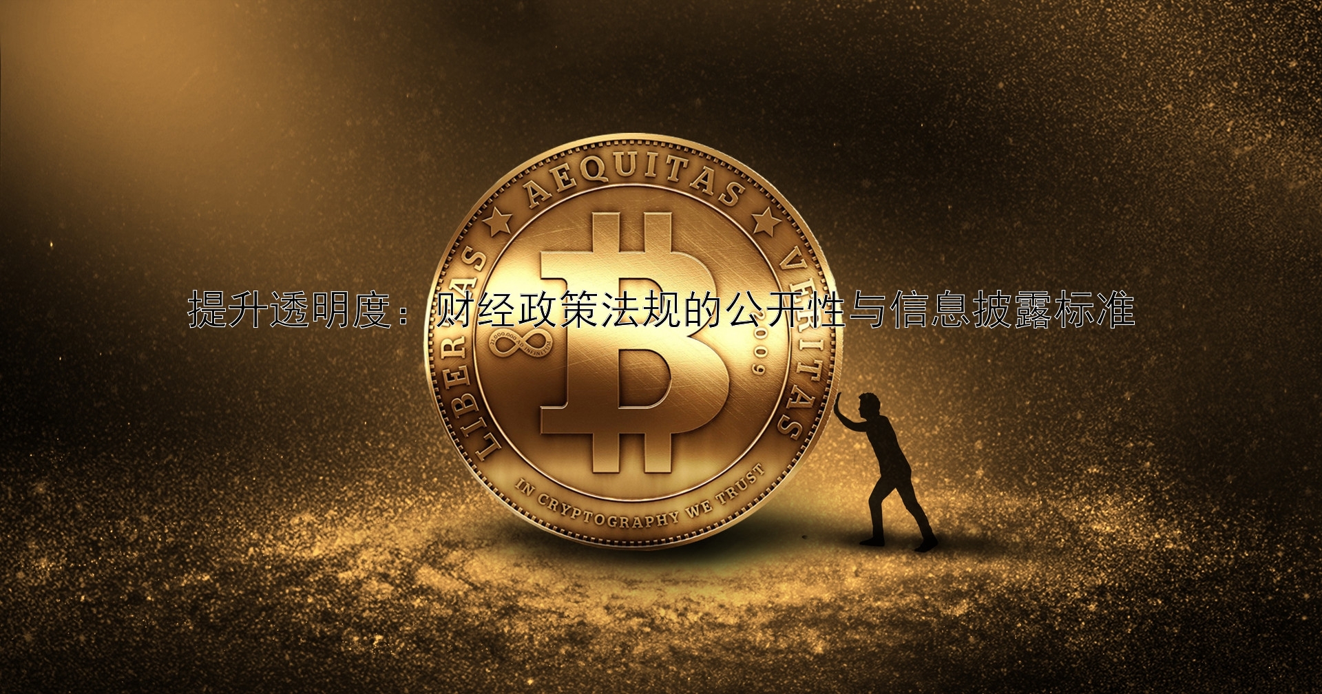 提升透明度：财经政策法规的公开性与信息披露标准